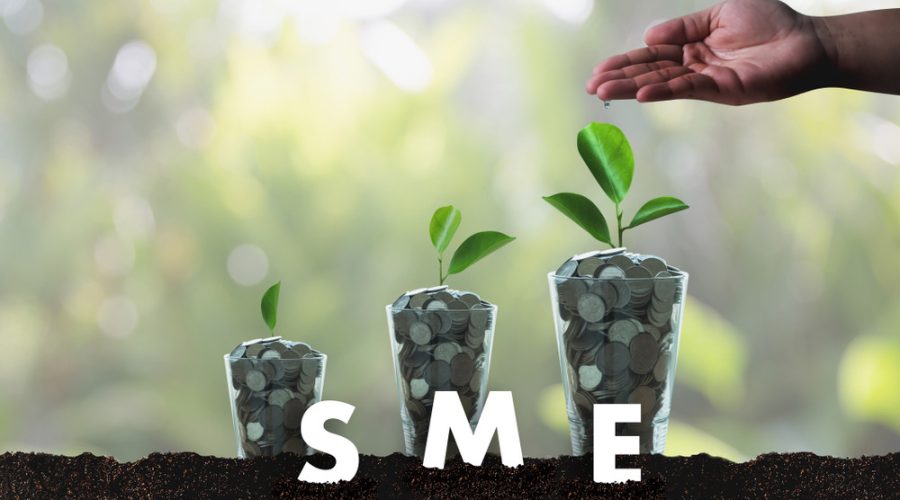 SME Finance Provider in UAE